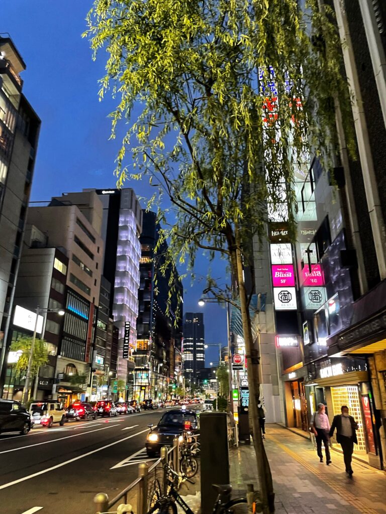 Ginza avenue at dusk